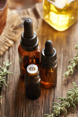 Three brown bottles of aromatherapy essential oil with fresh santolina twigs