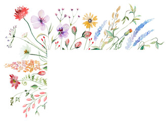 Frame  made of watercolor wild flowers and leaves, wedding and greeting illustration