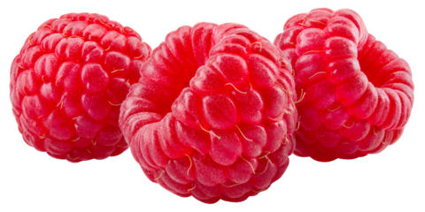 Raspberry isolated png. Raspberry on transparent background. PNG format. Three raspberries with no background. Full depth of field.