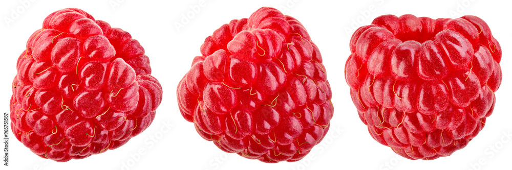 Wall mural raspberry isolated png. one raspberry on transparent background. png format. red raspberries collect