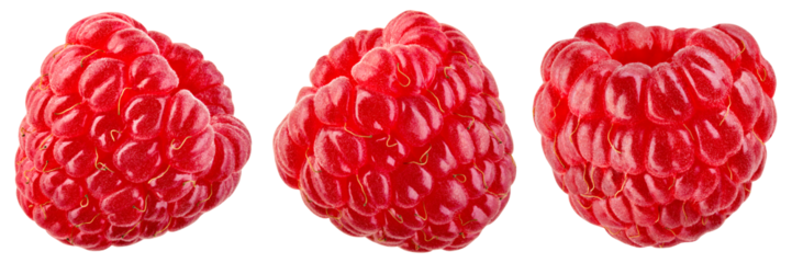 Raspberry isolated png. One raspberry on transparent background. PNG format. Red raspberries collection with no background. Full depth of field.