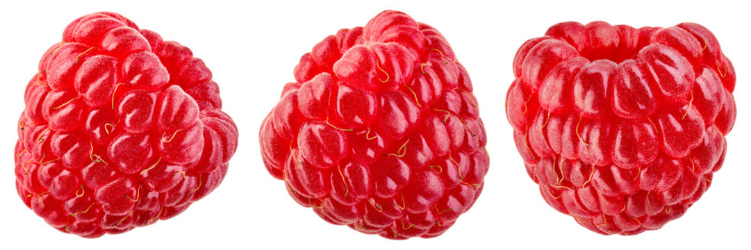 Raspberry isolated png. One raspberry on transparent background. PNG format. Red raspberries collection with no background. Full depth of field.