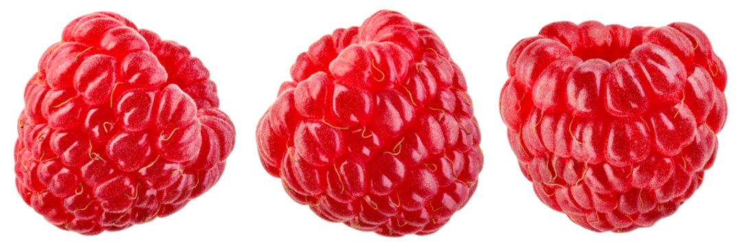 Raspberry isolated png. One raspberry on transparent background. PNG format. Red raspberries collection with no background. Full depth of field.