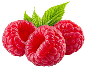 Raspberry isolated png. Three raspberries on transparent background. PNG format. Red raspberry with...