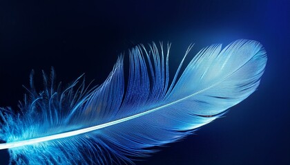 A glowing feather against a dark blue background.