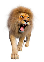 3D Rendering Male Lion on White