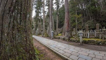 Toyasan Cemetary