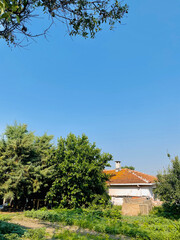 Rome, Italy. View of the Villa Borghese