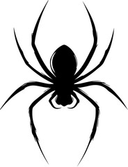 Obraz premium Silhouette of a Black Spider on White Background