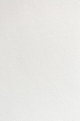 A White vertical texture background image.
