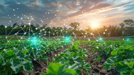 Soil sensors and data analytics are crucial in modern agriculture.