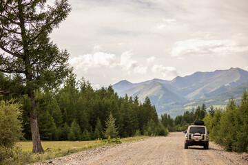 SUV on scenic mountain road in the forest