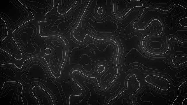 retro black and white topography abstract. moving lines building new shapes and landscapes. great for motiondesign and as an abstract background, with a variation of velocity to create you own stops