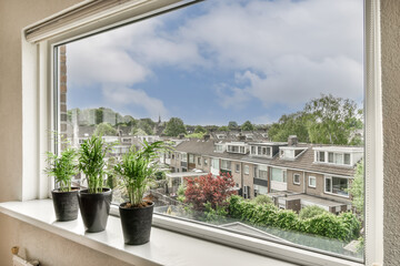 Suburban view from a window with potted plants