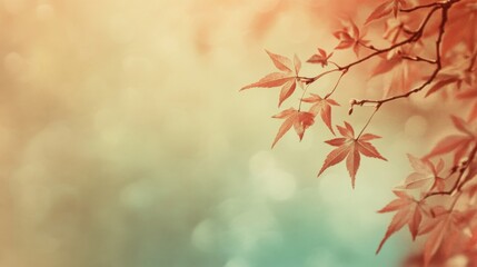 Autumn background with soft, muted colors, highlighting the season's peacefulness
