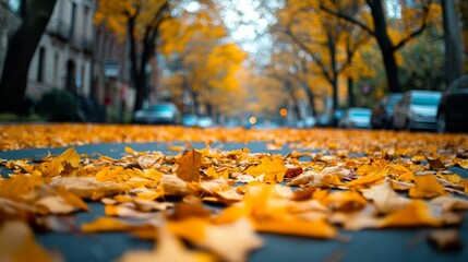Autumn leaves scattered in an urban setting, merging the beauty of nature with city life.