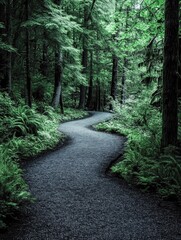 Obraz premium Peaceful Trail in the Forest