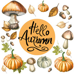 Isolated autumn watercolor set of bright leaves,mushrooms and pumpkins