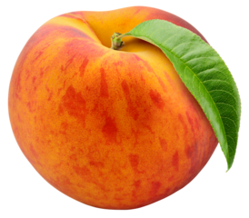 Peach with leaf isolated png. Whole peach on transparent background. PNG format. Peach with leaves no background. Full depth of field.