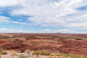 painted desert, petrified forest, national park, 