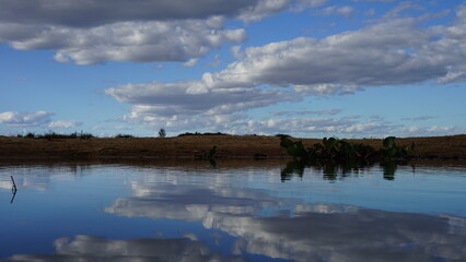 lago, natureza, fluvial, céu, paisagem, azul, escurecer, sol, parque, ao ar livre, cenário, baara...