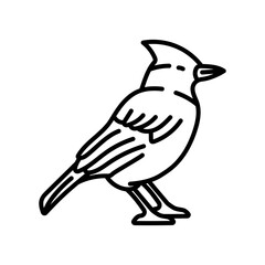 Blue Jay Outline Icon, Vector illustration