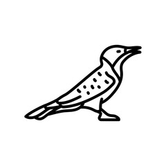 Woodpecker Outline Icon, Vector illustration