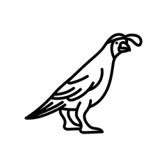 Quail Outline Icon, Vector illustration