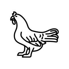 Hen Outline Icon, Vector illustration