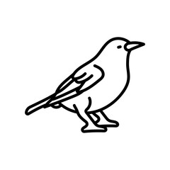 Fototapeta premium Dipper bird Outline Icon, Vector illustration