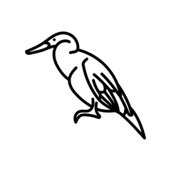 Anhinga Outline Icon, Vector illustration