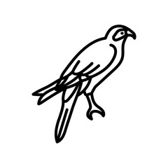 Sparrowhawk Outline Icon, Vector illustration