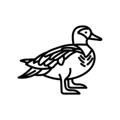 Garganey Outline Icon, Vector illustration