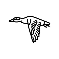 Eider Outline Icon, Vector illustration