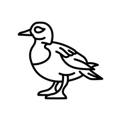 Barrow’s Goldeneye Outline Icon, Vector illustration
