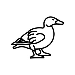White-winged Scoter Outline Icon, Vector illustration