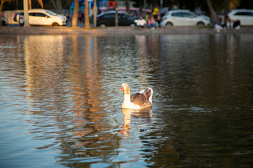 Near Planetario Galileo Galilei Buenos Aires