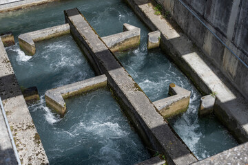 Fischtreppe bei Domat/Ems, Kanton Graubünden, Schweiz