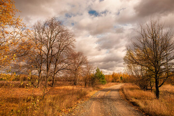Obraz premium autumn landscape with dirt road among trees and autumn sky on sunny day