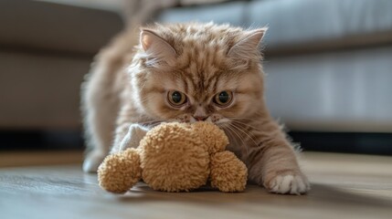 Obraz premium A playful cat interacts with a soft toy on a wooden floor.