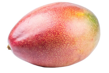 Mango fruit displayed alone on a stark white background surface