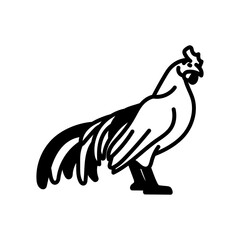 Chicken Glyph Icon, Vector illustration
