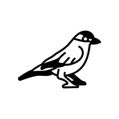 Shrike Glyph Icon, Vector illustration