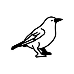 Dipper bird Glyph Icon, Vector illustration