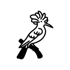 Hoopoes Glyph Icon, Vector illustration