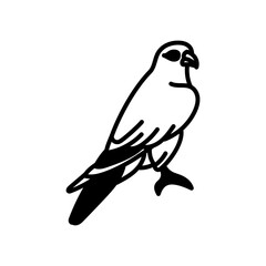 Merlin Bird Glyph Icon, Vector illustration