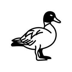Shelduck Glyph Icon, Vector illustration