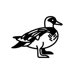 Garganey Glyph Icon, Vector illustration