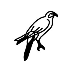 Sparrowhawk Glyph Icon, Vector illustration