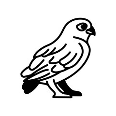 Burrowing Owl Glyph Icon, Vector illustration